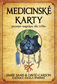 Medicinské karty